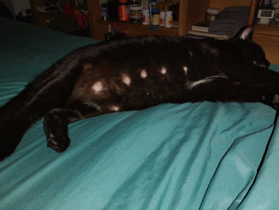 Comment with image on Bright Side