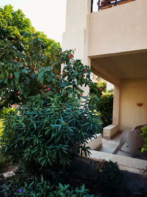 Comment with image on Bright Side