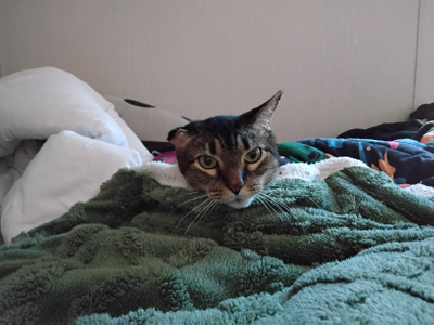 Comment with image on Bright Side