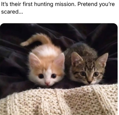 Comment with image on Bright Side