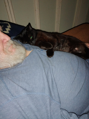 Comment with image on Bright Side