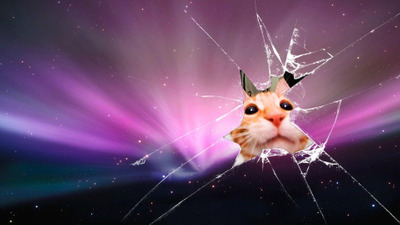 Comment with image on Bright Side