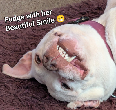 Comment with image on Bright Side