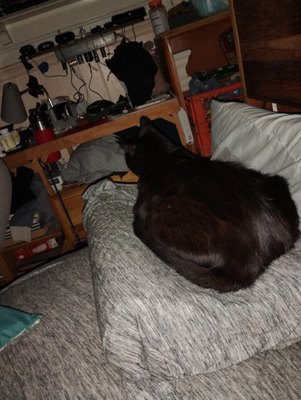 Comment with image on Bright Side