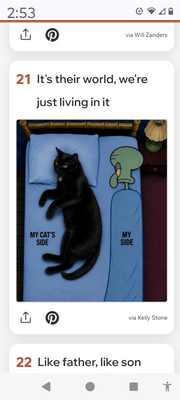 Comment with image on Bright Side