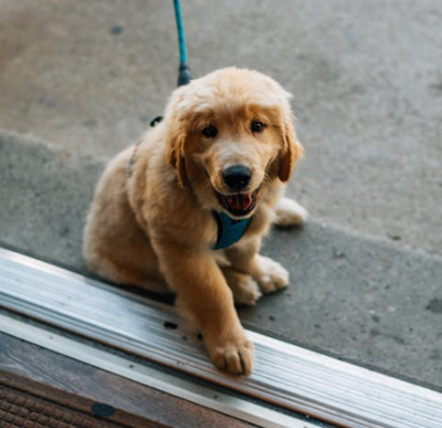 Comment with image on Bright Side