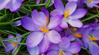 Comment with image on Bright Side