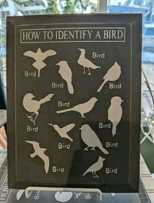Comment with image on Bright Side