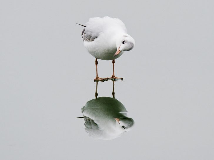 25 photos that prove the world is an utterly wonderful place