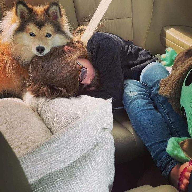 25+ Pics That Prove the Unbreakable Bond Between Kids and Animals