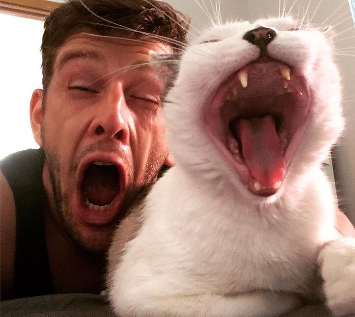 Test If You Can You Look at These 20 Photos Without Yawning
