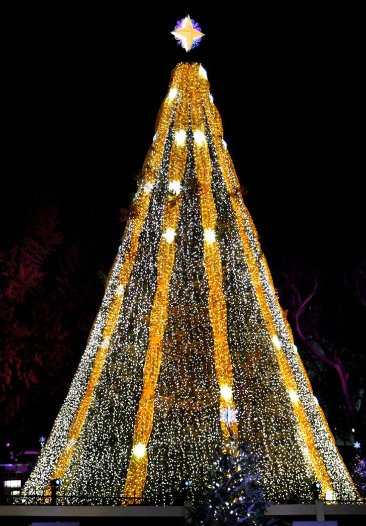 11 pemët më spektakolare të Krishtlindjeve nga e gjithë bota