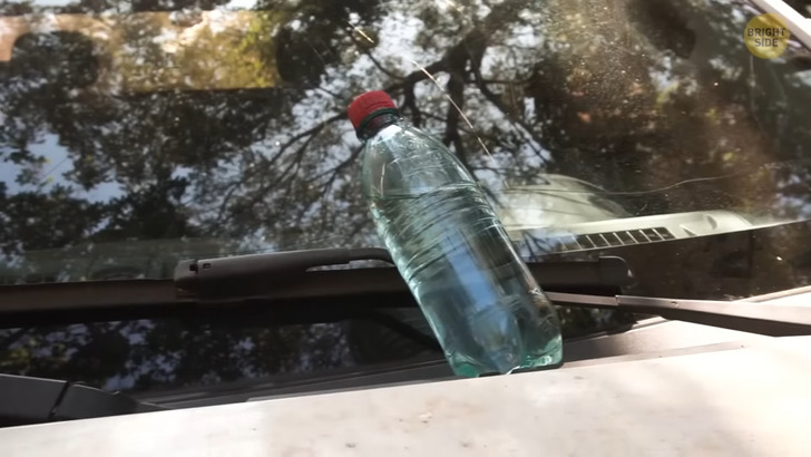 If You Find a Water Bottle on Your Car, Go to a Police Station / Bright Side