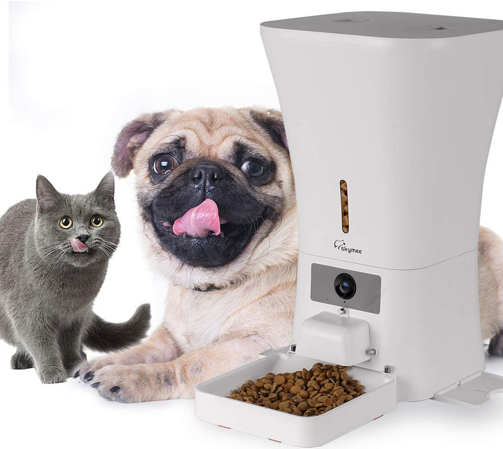 15 Amazon Products That Can Take Your Pet to the Land of Fun