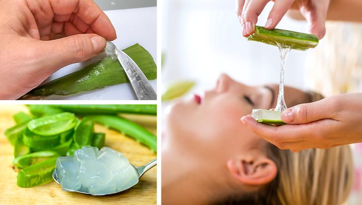 9 Ways to Use Aloe Vera That Сan Make Your Life Easier