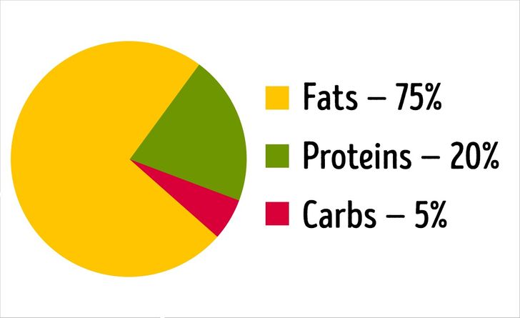 the main element of protein