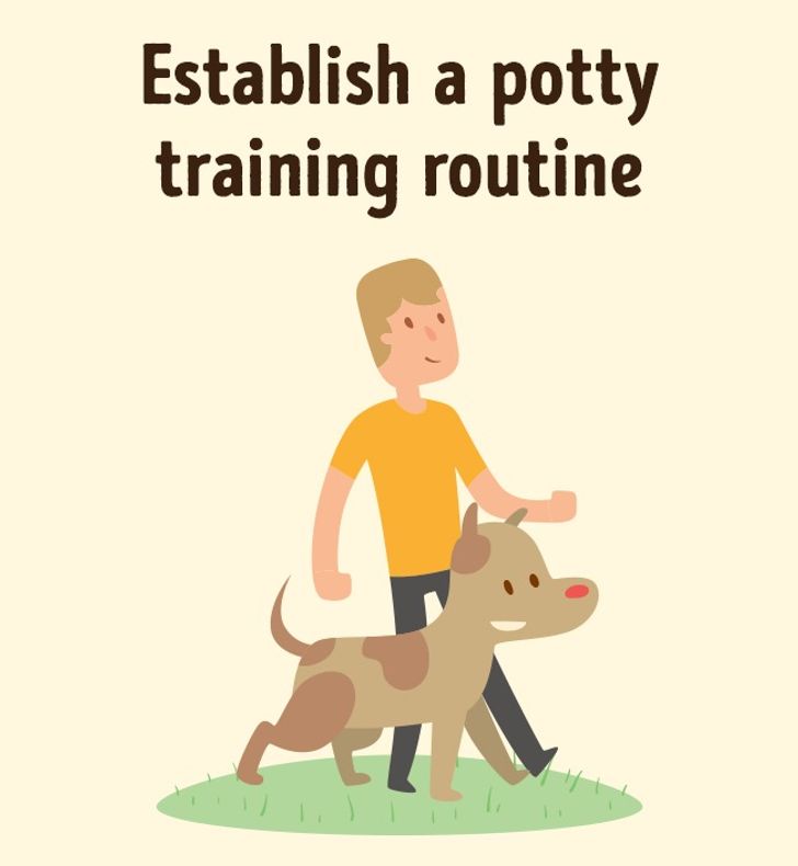 How to Train Your Dog Like a Pro