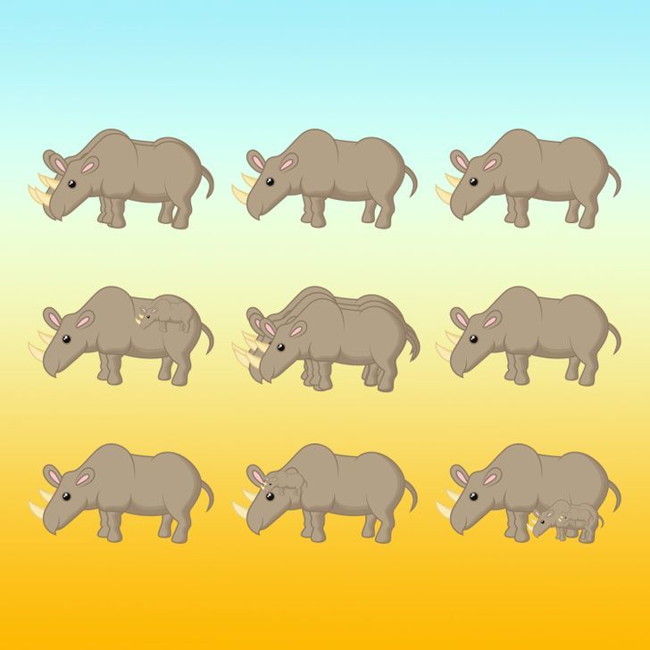How many rhinos do you see in the picture below?