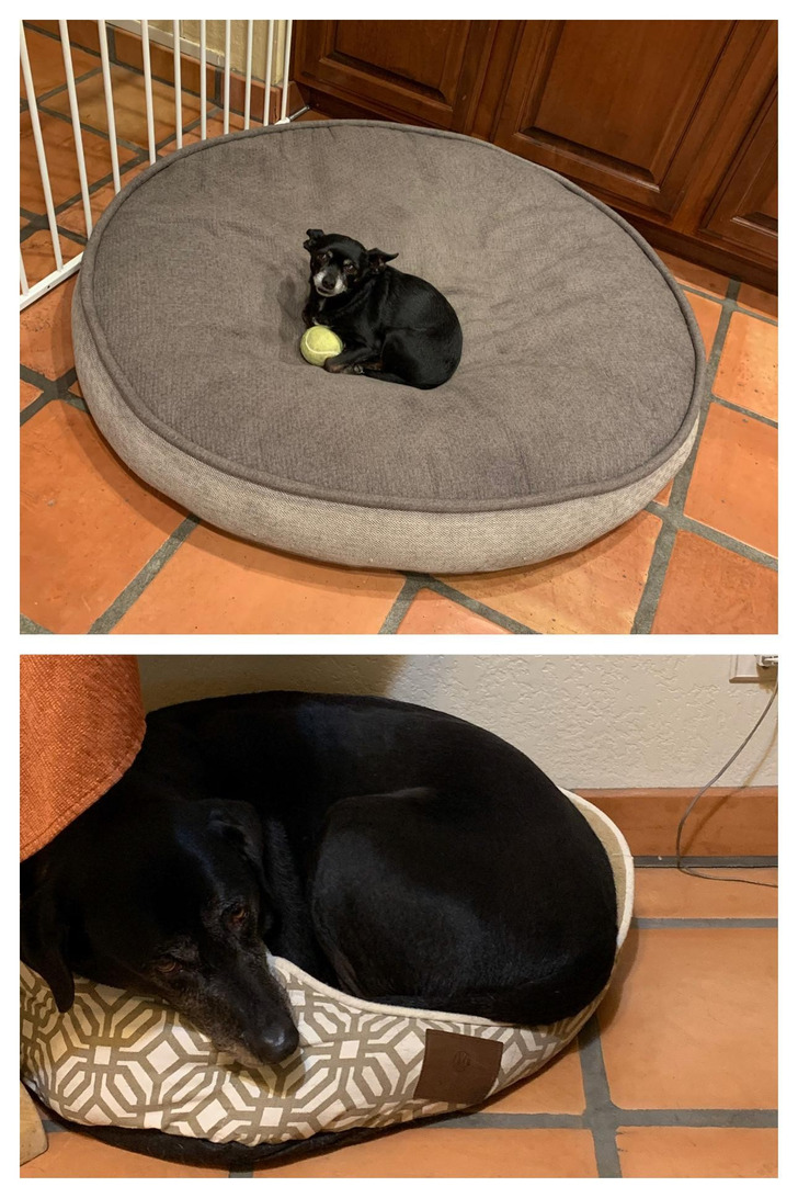 Good Thing They Got a Big Bed and a Little One