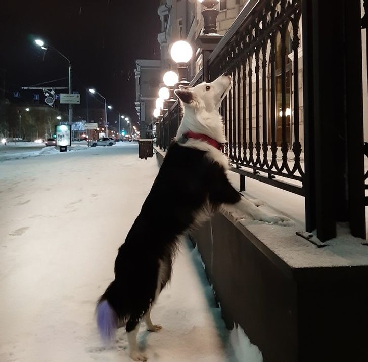 28 Icy Photos Proving Winter Is Not for the Faint-Hearted