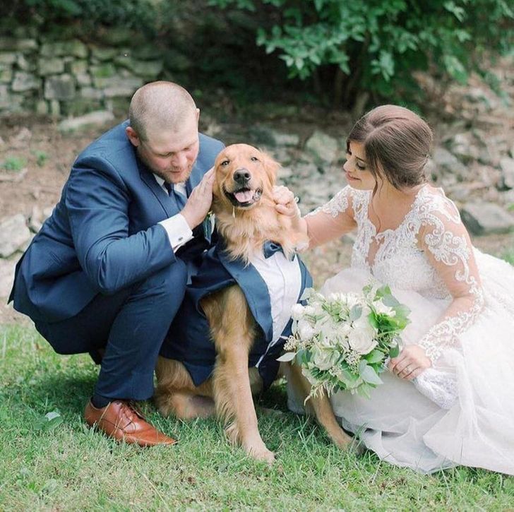 22 Pets Who Left Paw Prints on Their Owners’ Hearts