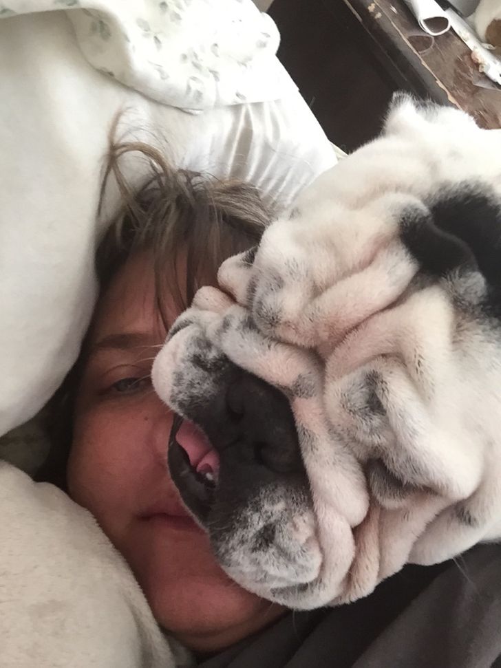17 Cats and Dogs Who Cannot Do Without Their Humans
