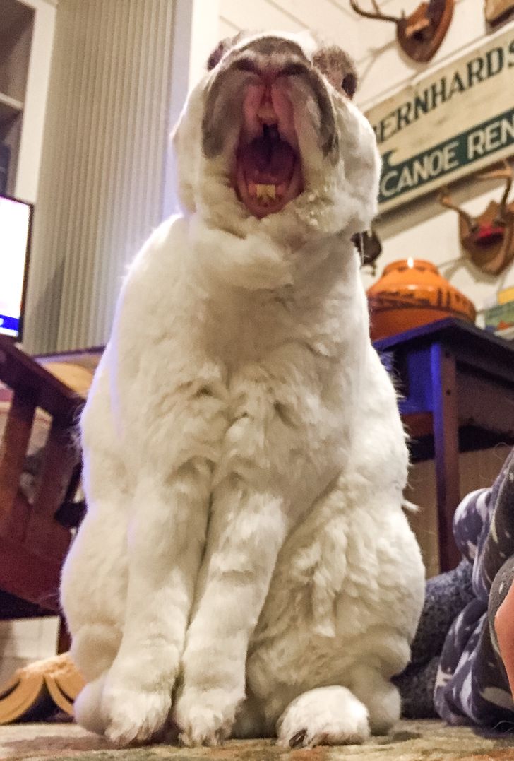 Photos of Regular Things That May Give You More Chills Than a Horror Movie Could