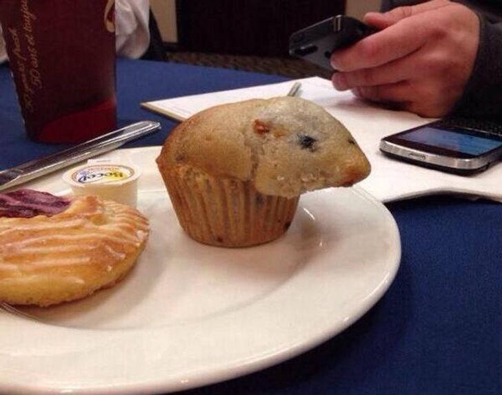 24 Hilariously Misleading Things That Will Make You Look Twice