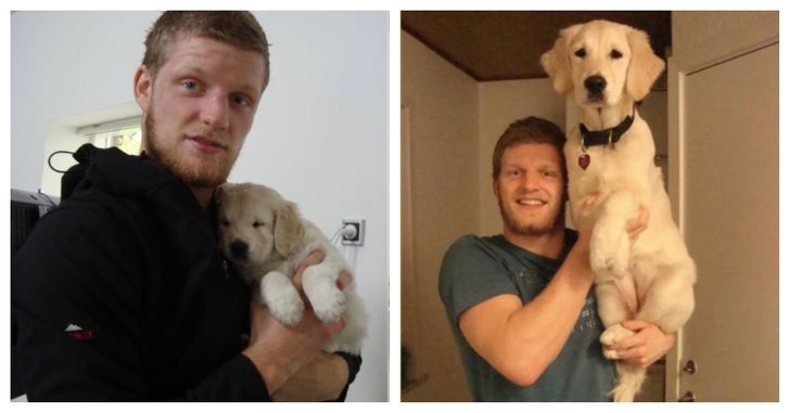 20 Times People Got Tiny Pupsters but Forgot to Hide the Magic Growth Dust