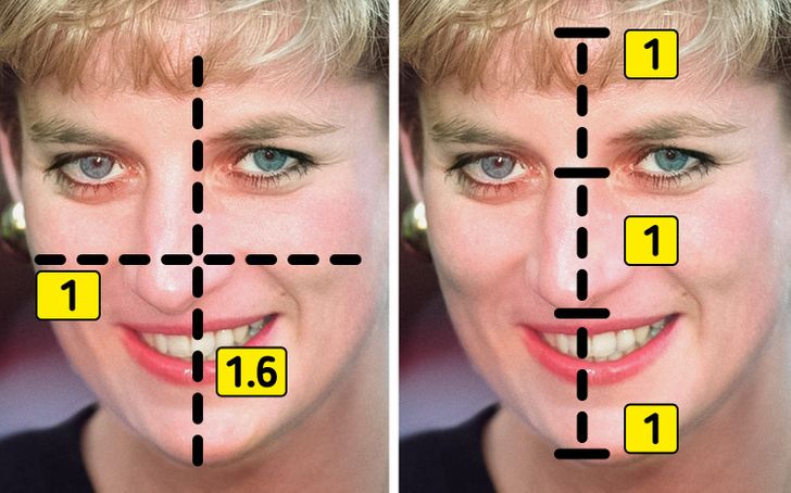 Princess Diana Is the Most Attractive Royal of All Time, According to Science