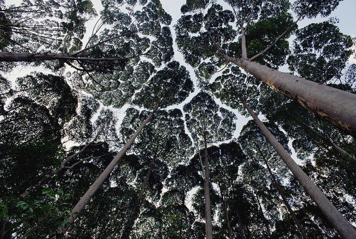 17 Photos That Prove the World Is Still Filled With Amazing Things