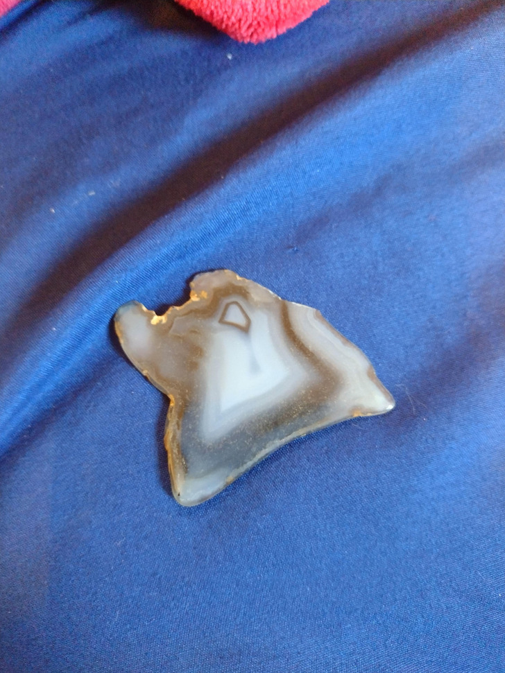 Going Through an Old Rock Collection, a Boy Found the Polished Stone His Parent Begged for in 2000
