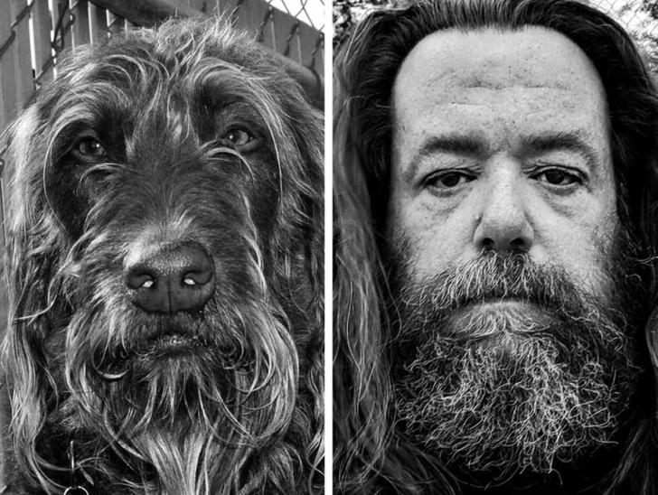 bc39ae589e84c5da45d8013a79 20+ Photos That Prove Owners and Their Pets Are Hilariously Alike / Bright Side
