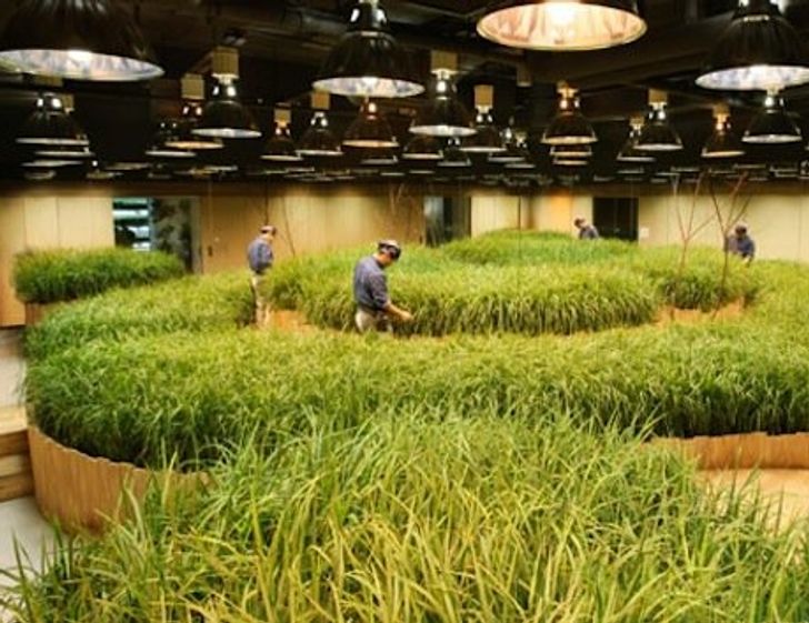 15 Astounding Things That Prove Japan Is a Hundred Steps Ahead of the World