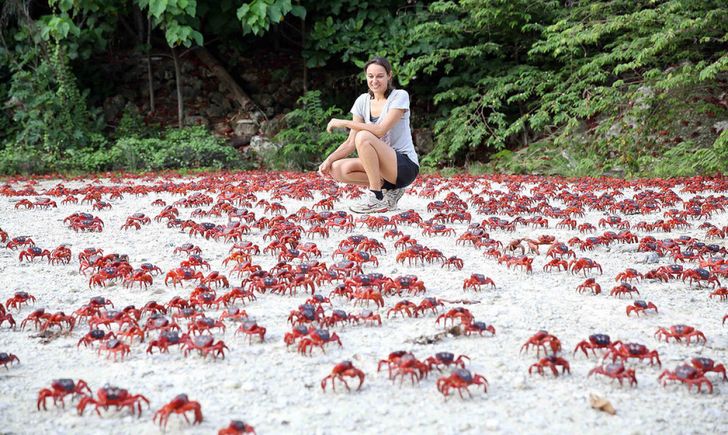 23 utterly amazing natural phenomena that are seemingly impossible