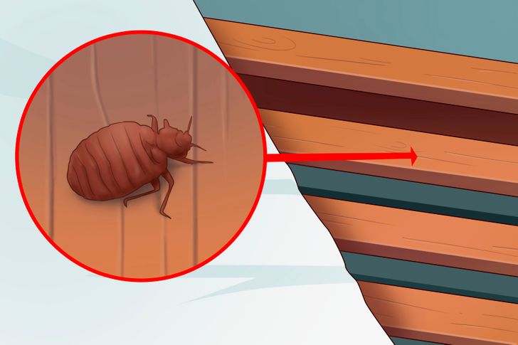 5 Signs That Show You’ve Got Bed Bugs in Your Home