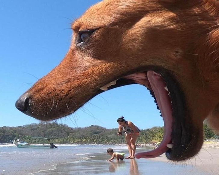 20 Shots That Are So Perfectly Timed, They Deserve an Award