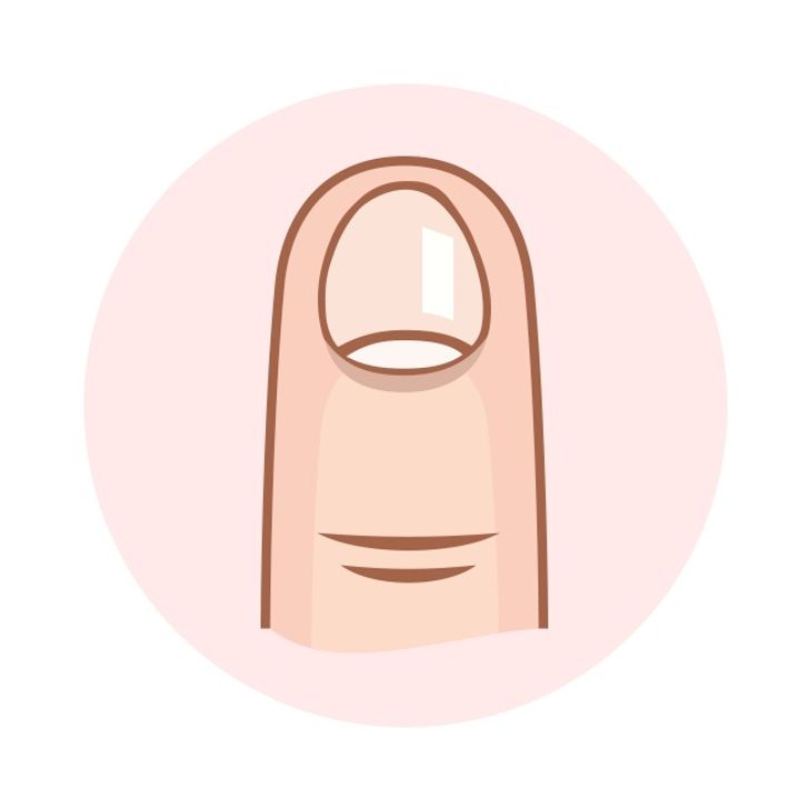 6 Surprising Things Your Nail Shape Can Reveal