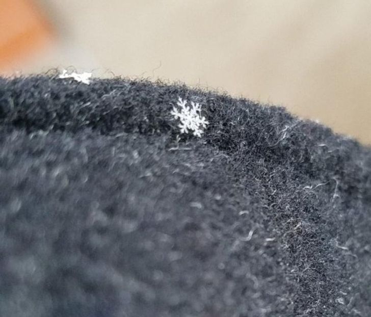 28 Icy Photos Proving Winter Is Not for the Faint-Hearted