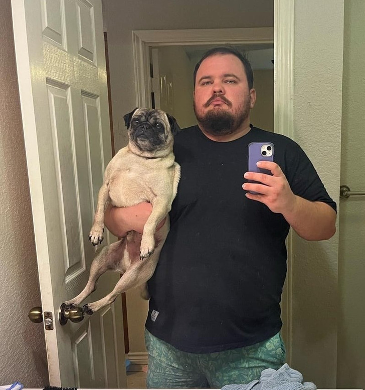 af8caf5020bc27d650f1253ba6 20+ Photos That Prove Owners and Their Pets Are Hilariously Alike / Bright Side