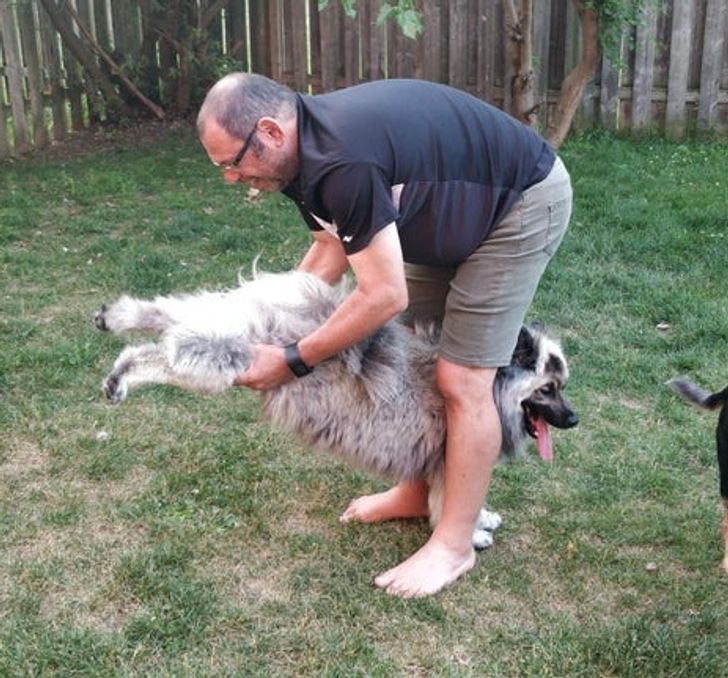 19 Pets That Put a Love Spell on Their Owners