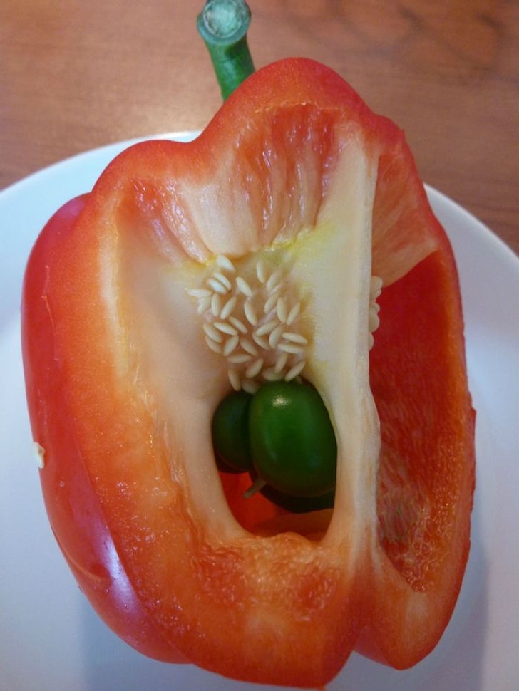 19 Odd Sights That Straight-Up Warp Reality