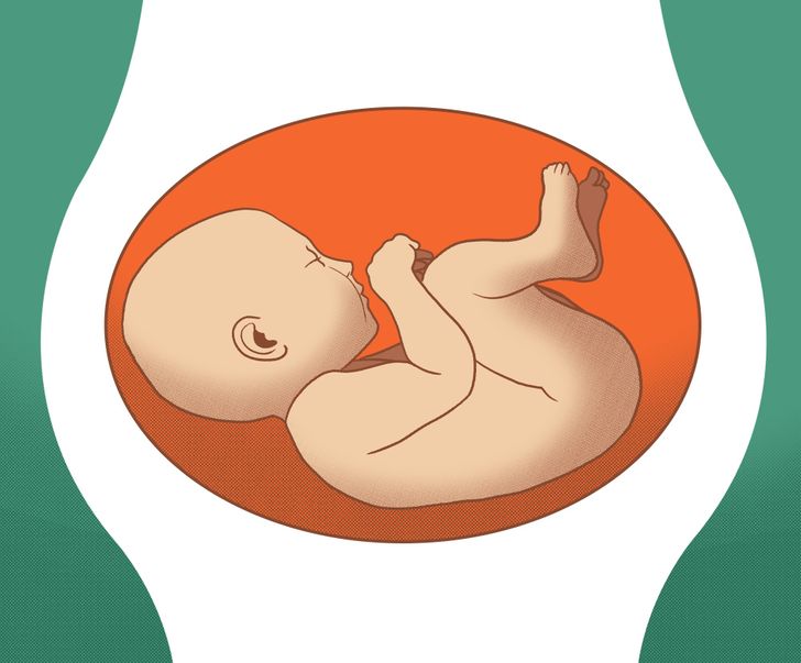 What Different Baby Positions Mean During Pregnancy