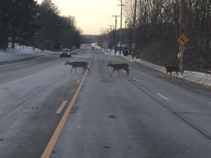 27 Perfect Coincidences That Were Luckily Captured on Camera