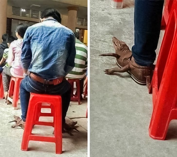 22 krijime të stilistëve që e bëjnë botën pak më të çmendur