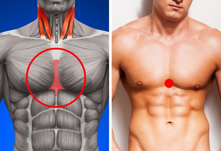 13 Pressure Points to Boost Your Metabolism and Accelerate Weight Loss