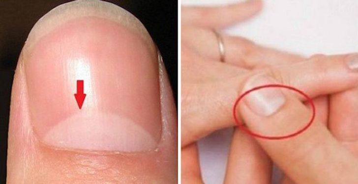 21 Amazing Facts about the Human Body That We Never Knew