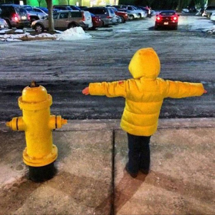 20 Amazing Coincidences Caught at the Perfect Moment