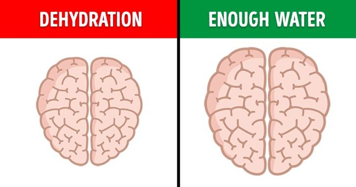 9 Amazing Examples of How We Influence Our Brains