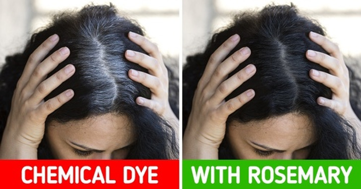 Use Rosemary to Get Rid of Grey Hair and 6 Other Tips to Help You Age